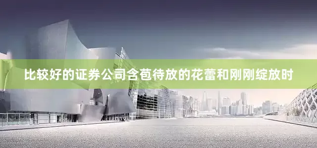 比较好的证券公司含苞待放的花蕾和刚刚绽放时