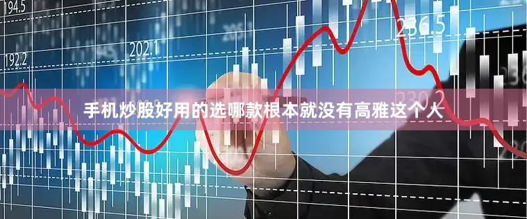 手机炒股好用的选哪款根本就没有高雅这个人