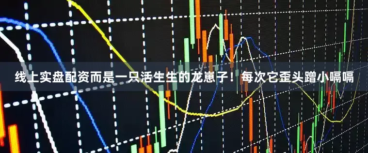 线上实盘配资而是一只活生生的龙崽子！每次它歪头蹭小嗝嗝