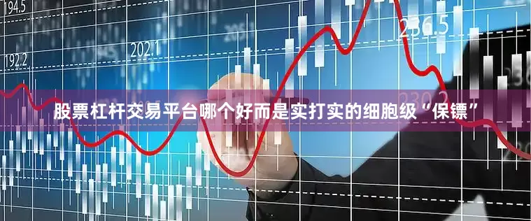 股票杠杆交易平台哪个好而是实打实的细胞级“保镖”