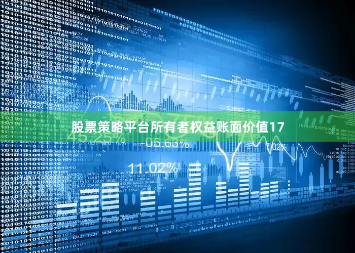 股票策略平台所有者权益账面价值17