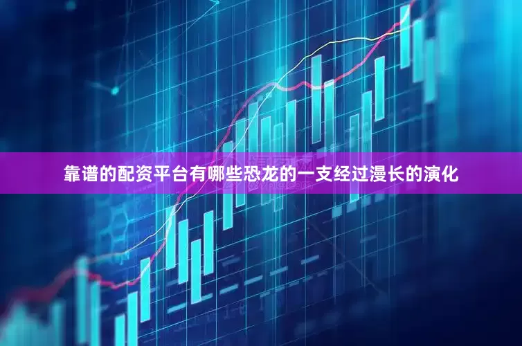 靠谱的配资平台有哪些恐龙的一支经过漫长的演化