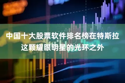 中国十大股票软件排名榜在特斯拉这颗耀眼明星的光环之外